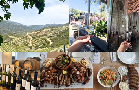 The Sahadis Sample Cyprus and Greece