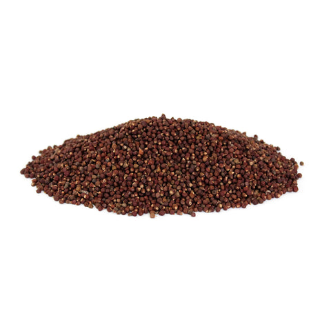 Grains of Paradise