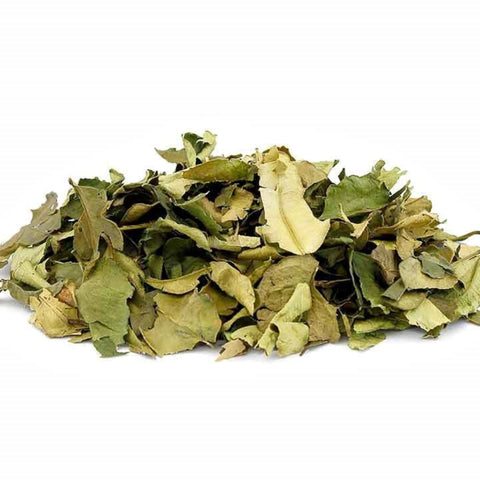 Kaffir Lime Leaves