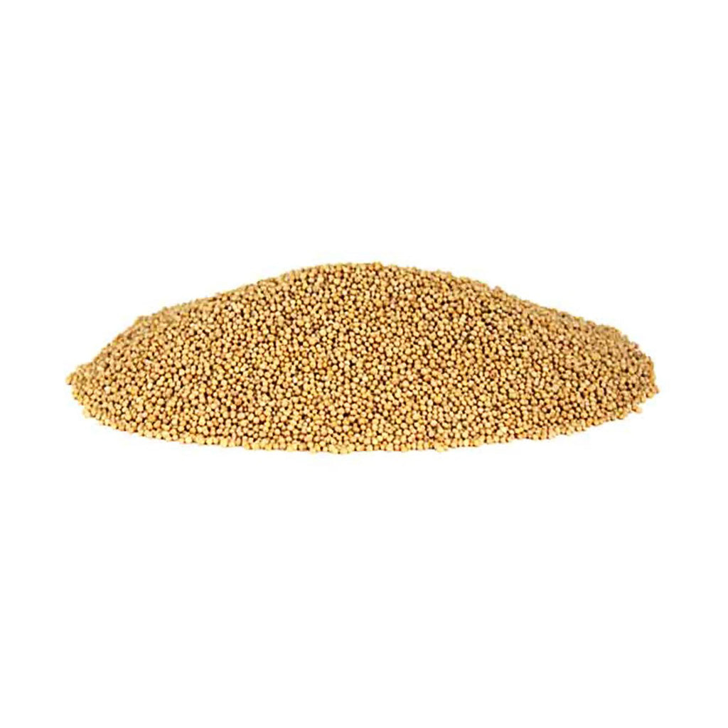 Mustard Seeds - Whole