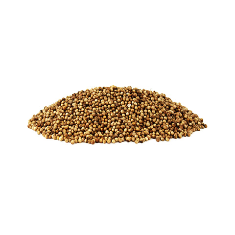 Coriander - Whole